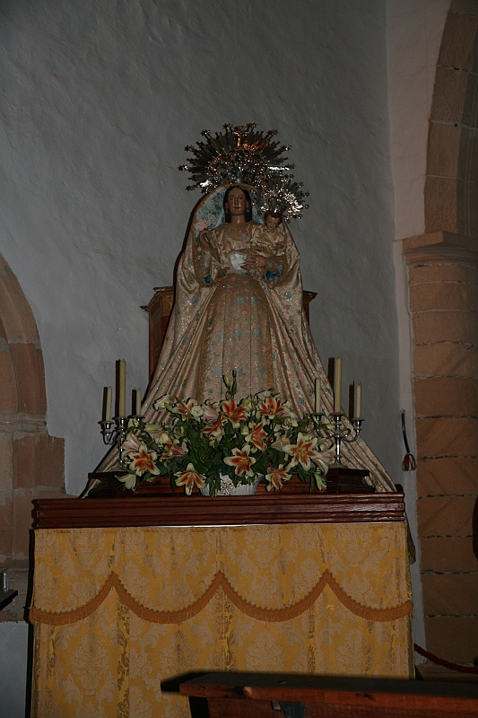 Kanary_2010 053